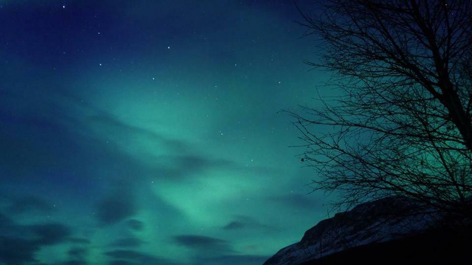 Ballangen Camping Narvik Buitenkant foto