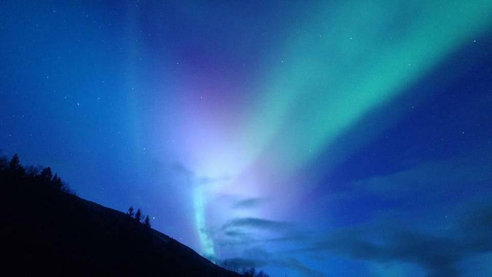 Ballangen Camping Narvik Buitenkant foto